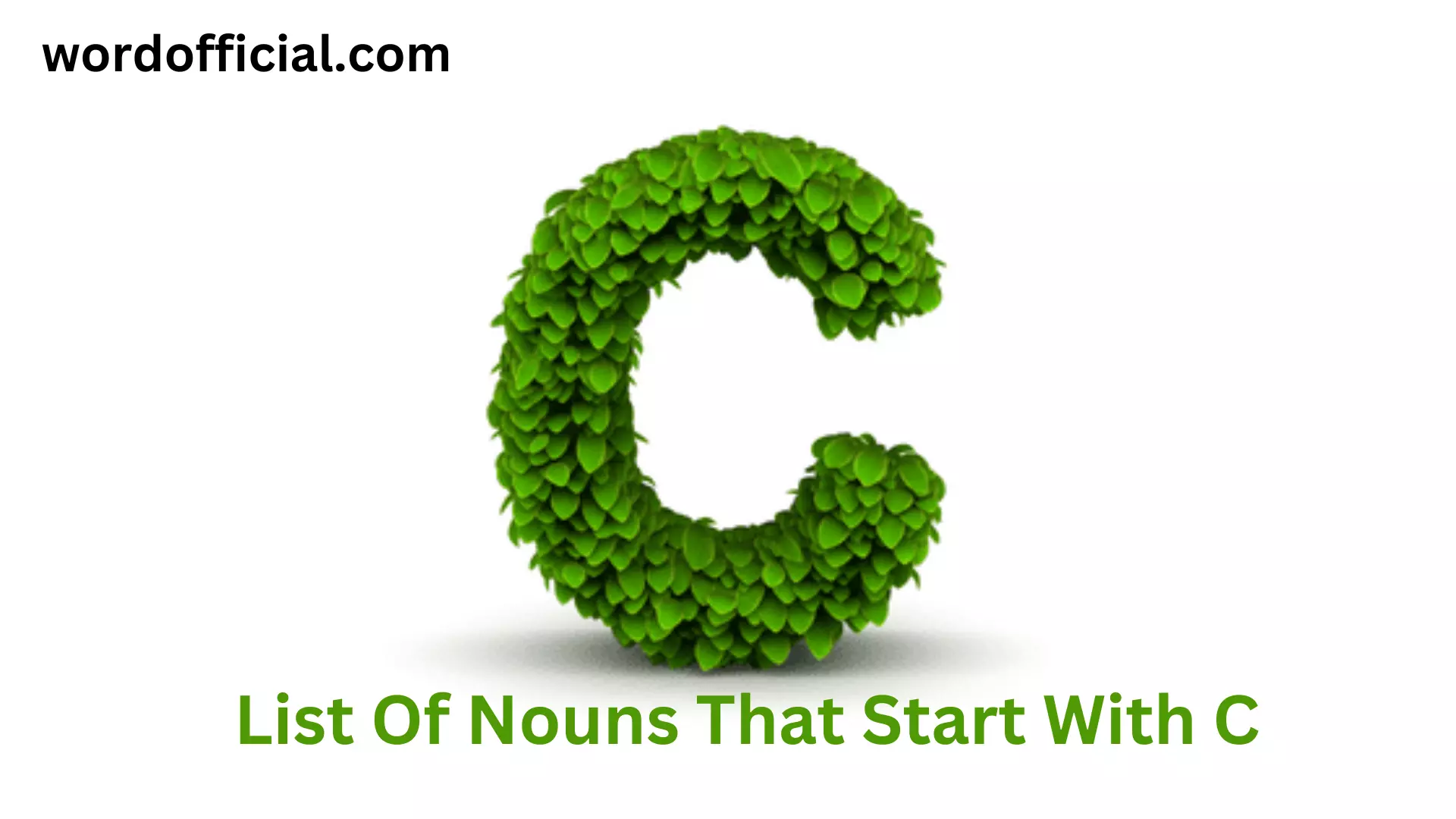 359+List Of Nouns That Start With C