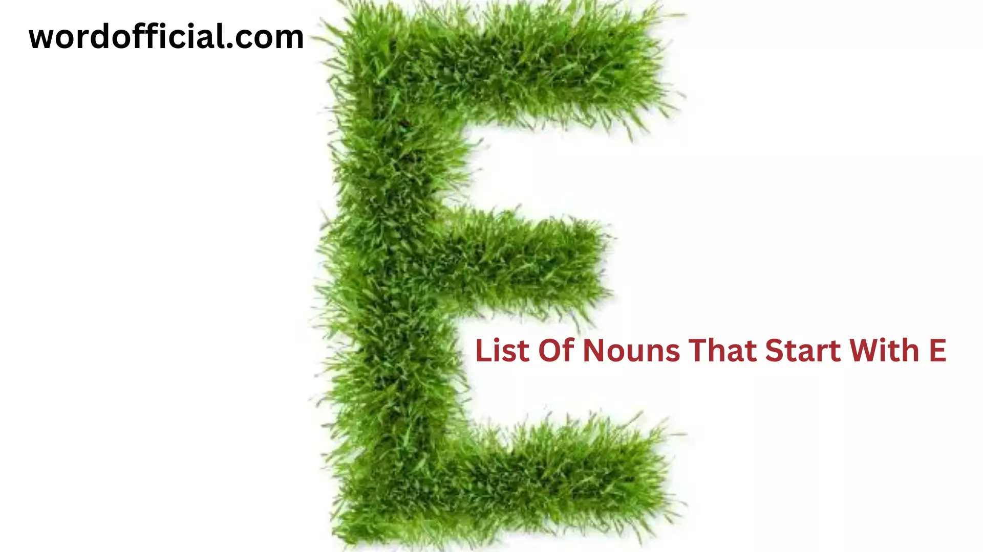 178+List Of Nouns That Start With E