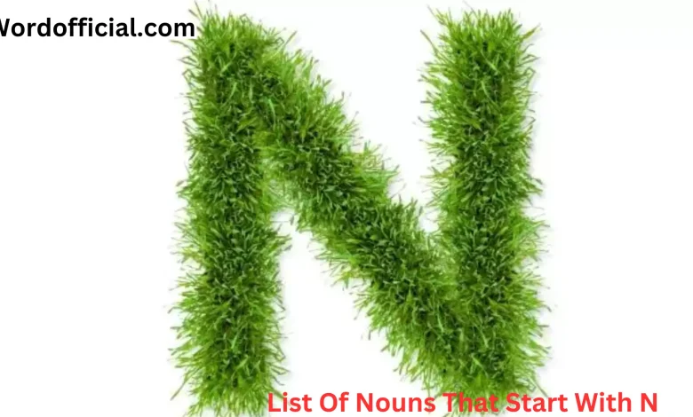 List Of Nouns That Start With N
