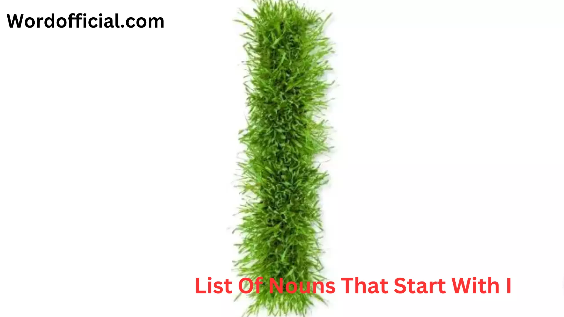 List Of Nouns That Start With I