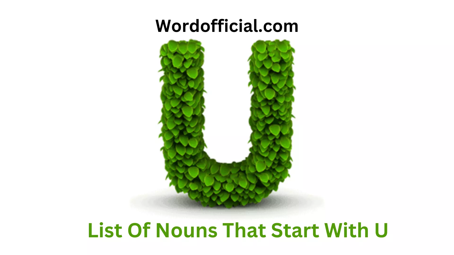 List Of Nouns That Start With U
