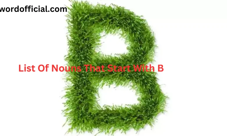 List Of Nouns That Start With B