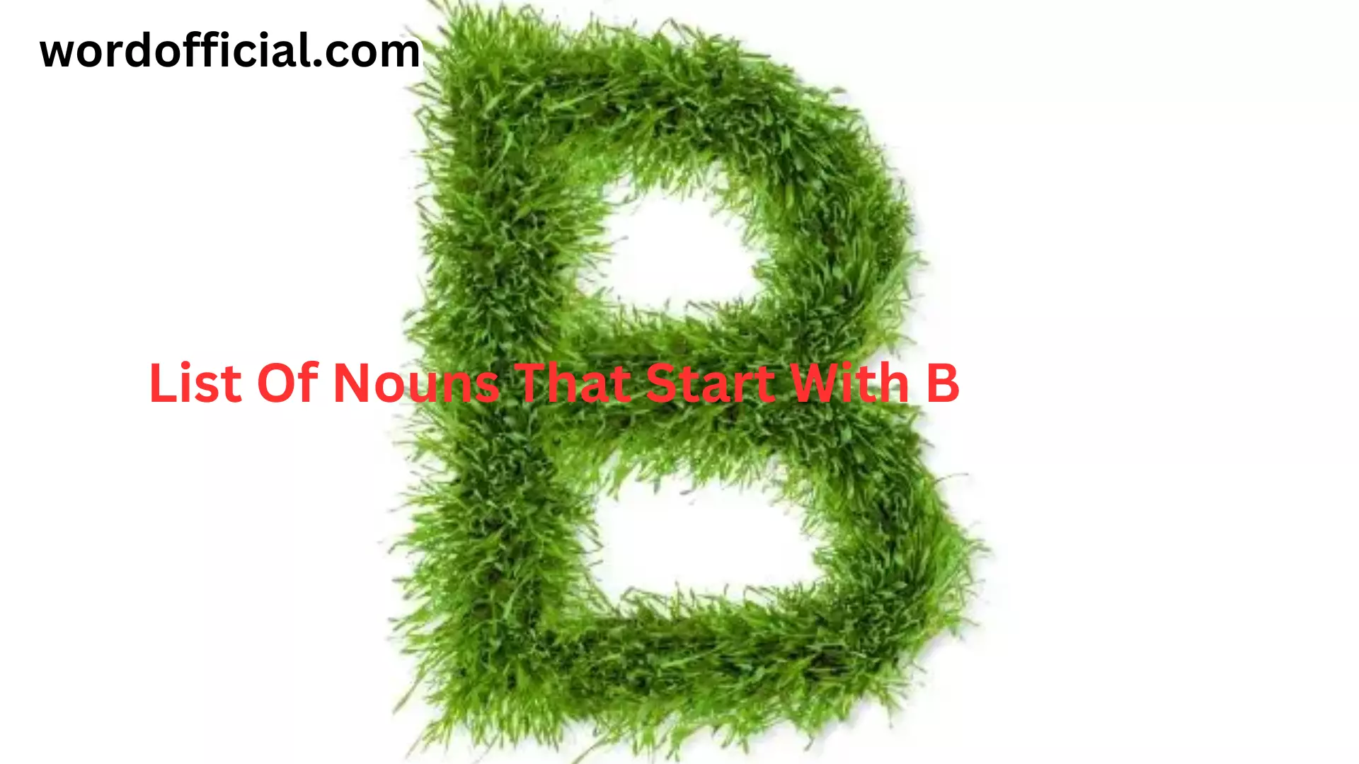 List Of Nouns That Start With B