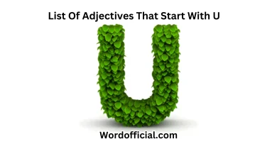 List Of Adjectives That Start With U