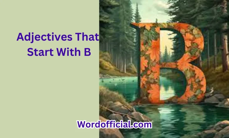 Adjectives That Start With B