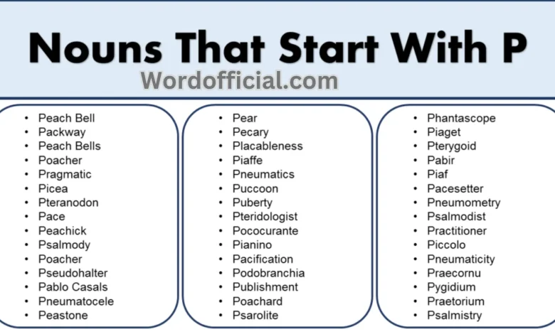 List Of Nouns That Start With P – Noun Words