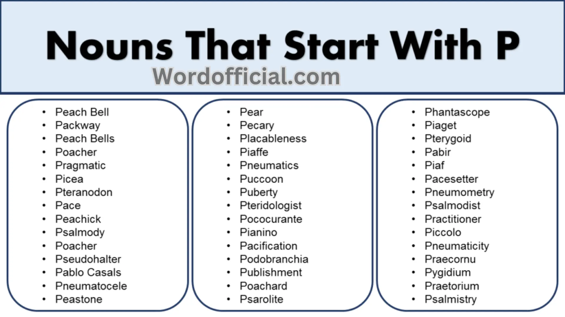 List Of Nouns That Start With P – Noun Words