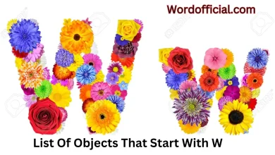 List Of Objects That Start With W