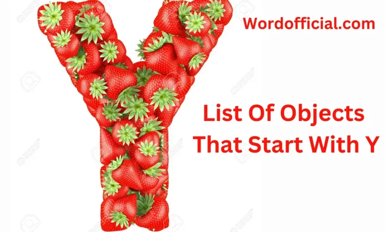 List Of Objects That Start With Y